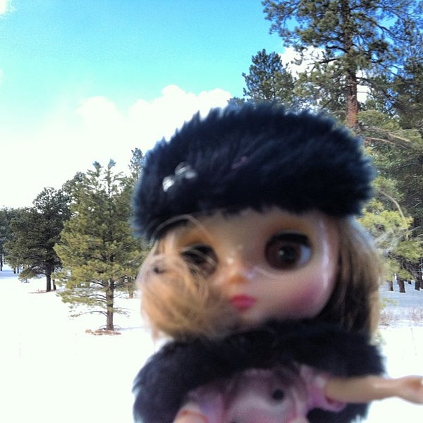 Forest Highlands Meadow Clubhouse 1 tip