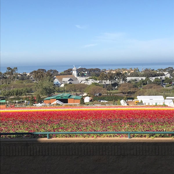 Photo taken at Grand Pacific Palisades Resort by Josh S. on 4/21/2018