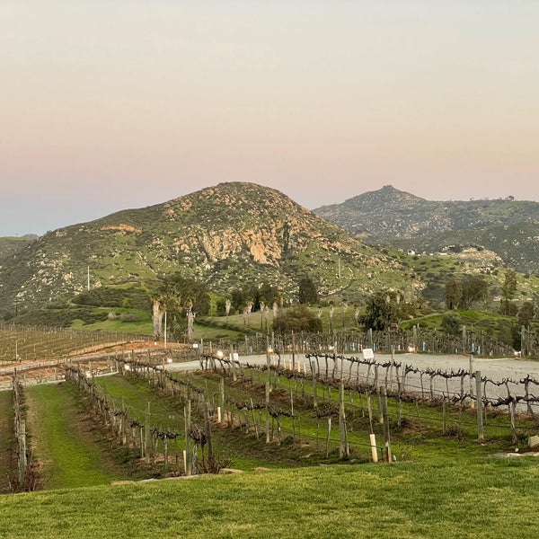 รูปภาพถ่ายที่ Orfila Vineyards and Winery โดย John V. เมื่อ 2/6/2023