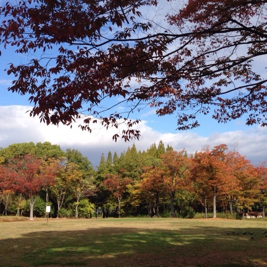 神宮東公園 沢上区 名古屋市 愛知県 神宮東公園 沢上区 名古屋市 愛知県