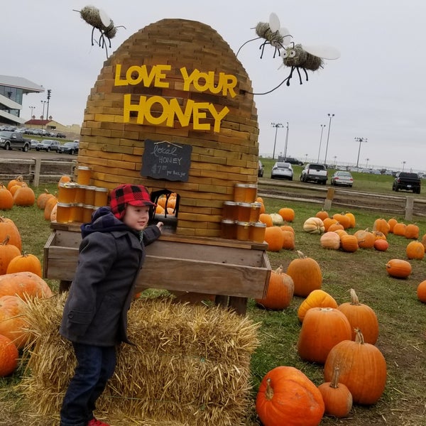 Photo taken at Sever&#39;s Corn Maze &amp; Fall Festival by Travis B. on 10/29/2017