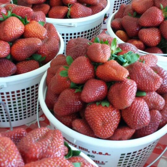 Strawberry Hill USA 7 tips from 432 visitors