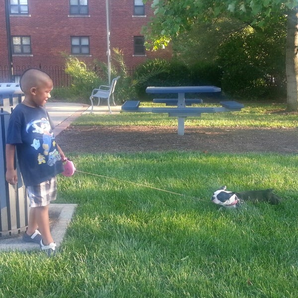 Photos at Camp morton park Herron Morton Indianapolis, IN