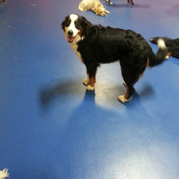 Photo taken at Urban Pooch Canine Life Center by Ryan B. on 3/15/2013