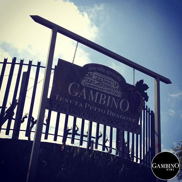 11/12/2014にGambino ViniがGambino Viniで撮った写真