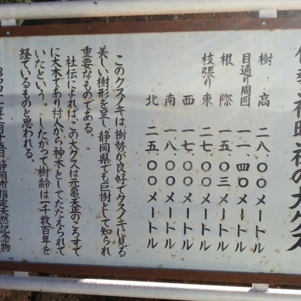 小鹿神明社のクス 静岡市 静岡県