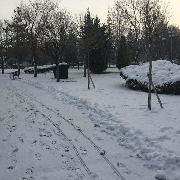 Реал парк