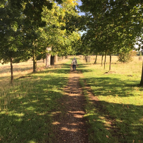 Pishiobury Park Sawbridgeworth, Hertfordshire