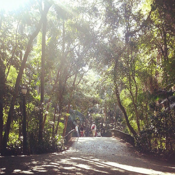 Photos at Parque Tenente Siqueira Campos (Trianon) Avenida Paulista São Paulo, SP