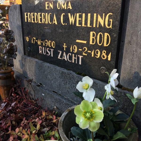 Zevenaar Zevenaar, Gelderland