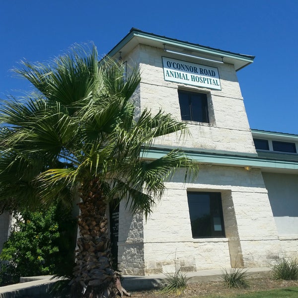 O'Connor Road Animal Hospital - Veterinarian in Northeast San Antonio O'Connor Road Animal Hospital - Veterinarian in Northeast San Antonio