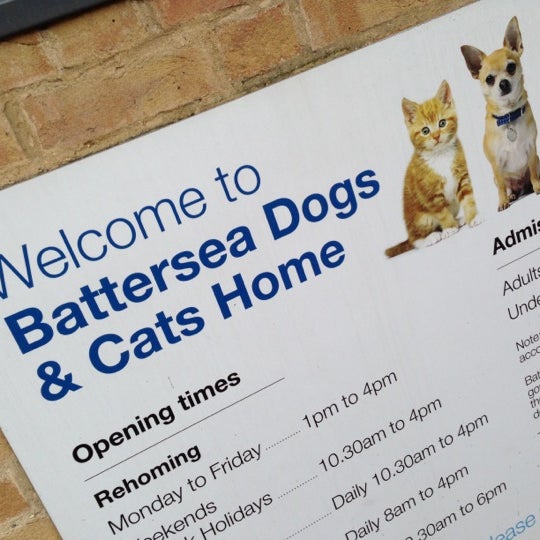 รูปภาพถ่ายที่ Battersea Dogs &amp; Cats Home โดย Andy T. เมื่อ 12/12/2012