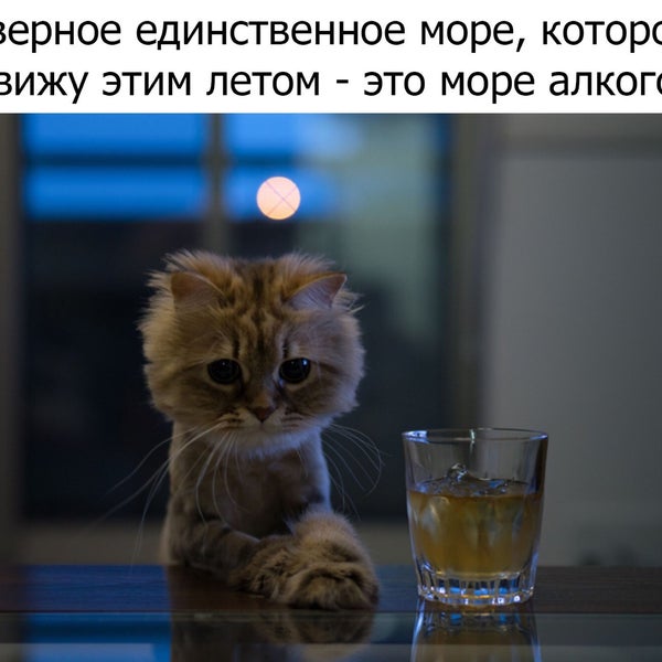 Das Foto wurde bei Цветочки von Евгений К. am 7/24/2018 aufgenommen