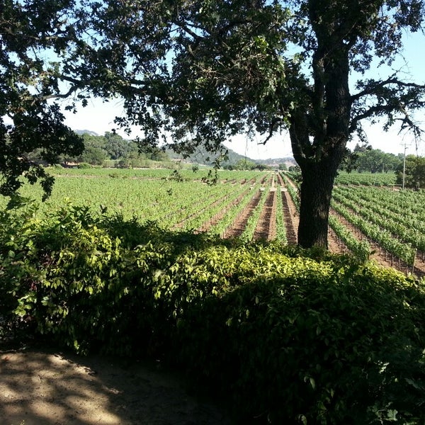Photo taken at PlumpJack Winery by Piko on 8/13/2013