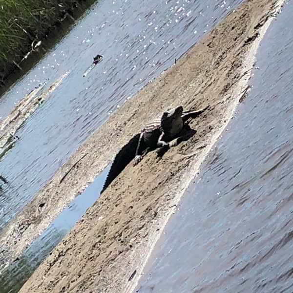 Barefoot Gallery Art Gallery