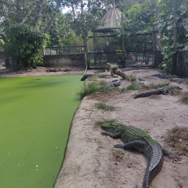Everglades Wonder Gardens Garden in Downtown Bonita Springs