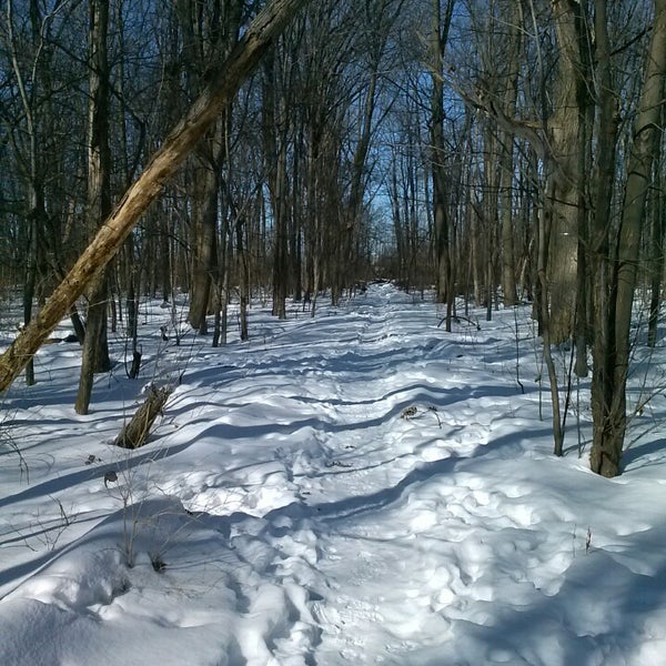 Cummingston Park Royal Oak, MI