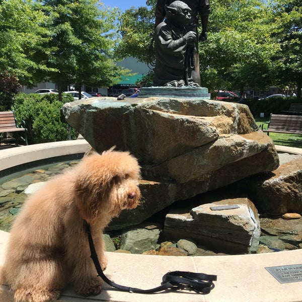Yoda Statue San Anselmo, CA