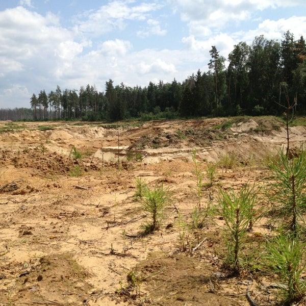 карьеры купавны. бисерово парк карьер. кудиновский карьер купавна. карьеры купавны. карьер рыбхоз старая купавна.