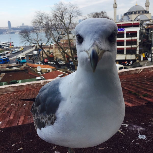 Foto diambil di Keyif İstanbul oleh İsmail Ü. pada 2/4/2017