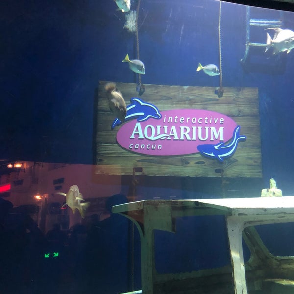Photo taken at Aquarium Cancun by Mike B. on 2/25/2019