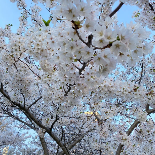 5/4/2022にMahyaがトロント大学で撮った写真