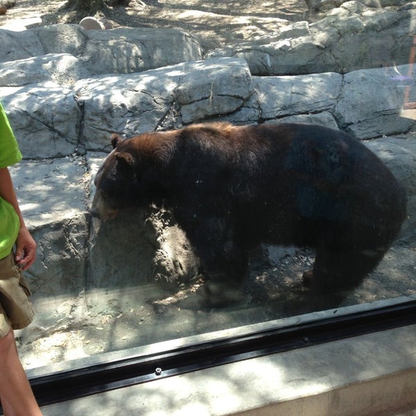 Folsom Zoo Folsom, CA