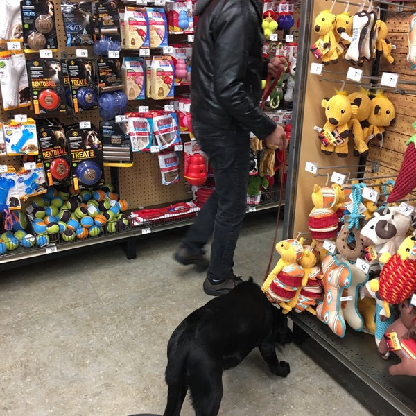 Unleashed by Petco Fresh Meadows, NY