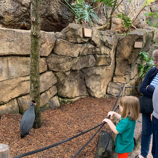 Photo taken at San Antonio Zoo by Maryellen on 3/3/2020