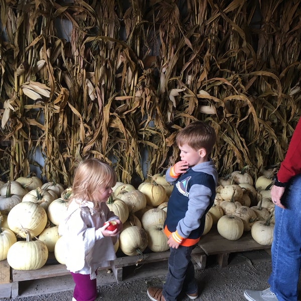 Granger's Christmas Tree Farm Farm