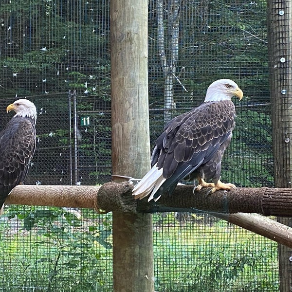 Squam Lake Science Center College Science Building in Holderness
