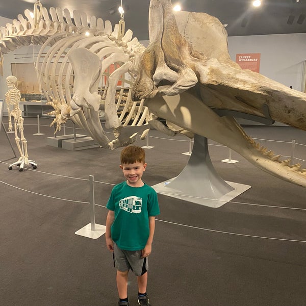 Foto tomada en New Bedford Whaling Museum  por Josh H. el 9/3/2022