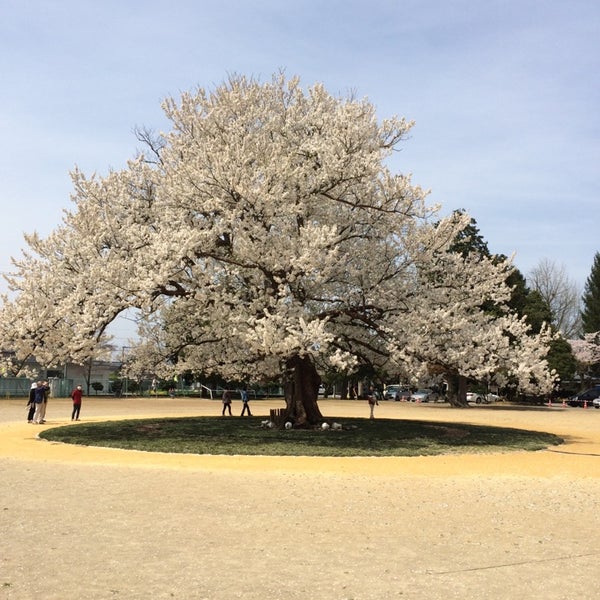 越前市立味真野小学校 越前市 福井県 越前市立味真野小学校 越前市 福井県