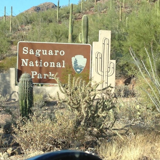 Saguaro National Park West - 18 tips