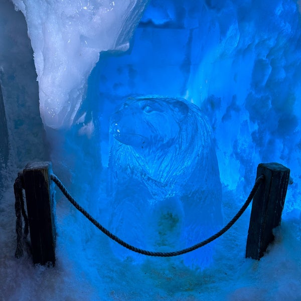 Bilder von Xtracold Icebar Amsterdam:  A Cool Drawing Adventure!