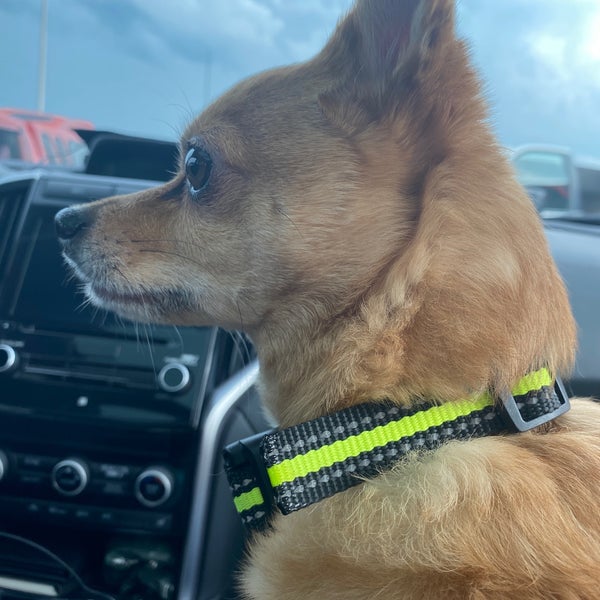 Weaver Market Grocery Store in Denver