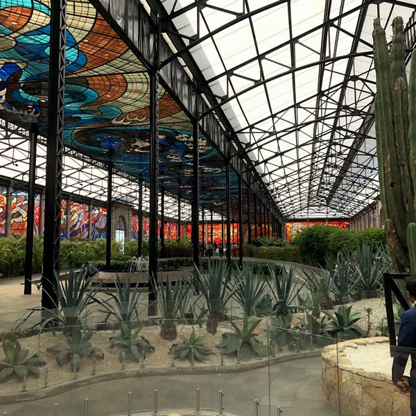Photo taken at Cosmovitral (Jardín Botánico) by Mark W. on 11/19/2022