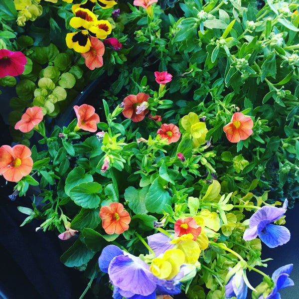 Johnson's Florist & Garden Center (Now Closed) Flower Store in Washington