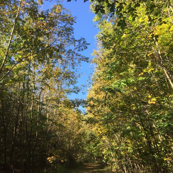 Chikaming Township Park and Preserve Lakeside, MI