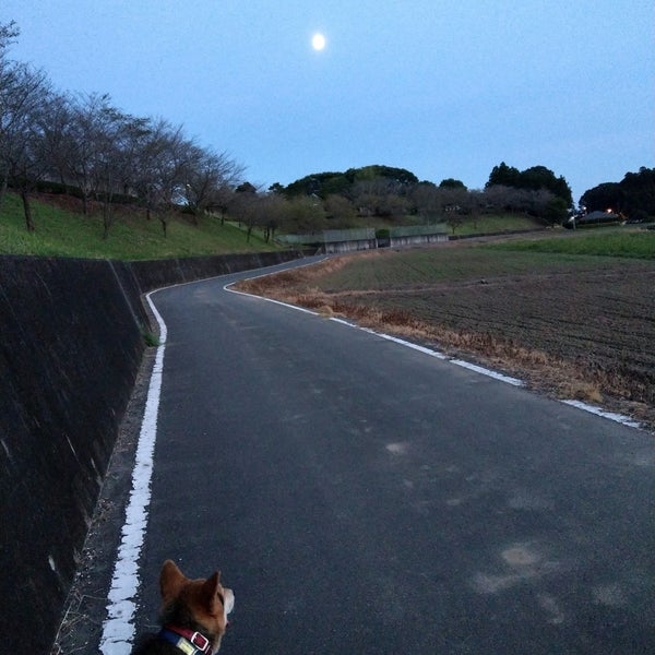 小美玉市希望ヶ丘公園 中台418