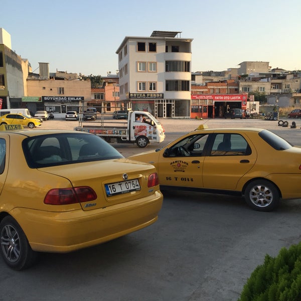 giyilebilir dildo tomy ne demek