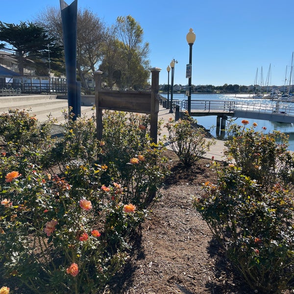 Rosie The Riveter Memorial Rose Garden Marina Bay Richmond, CA