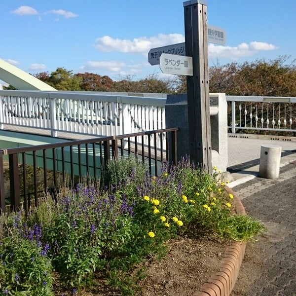 荒子川公園ガーデンプラザ 港区 67 Visitors