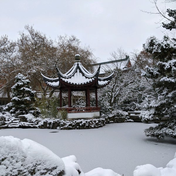 Снимок сделан в Dr. Sun Yat-Sen Classical Chinese Garden пользователем Adrian A. 1/13/2020