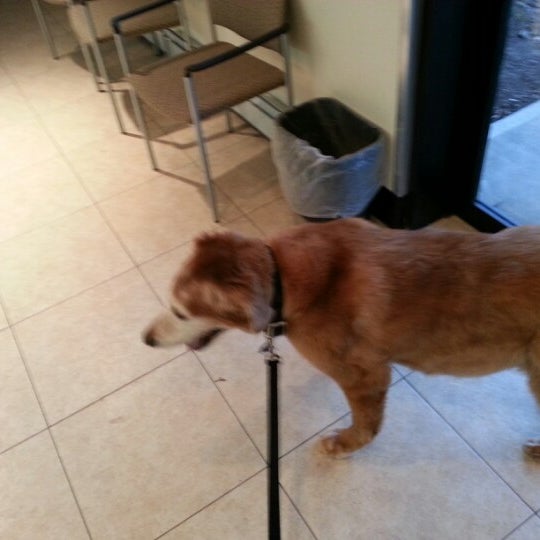 royal canin chicken by product meal