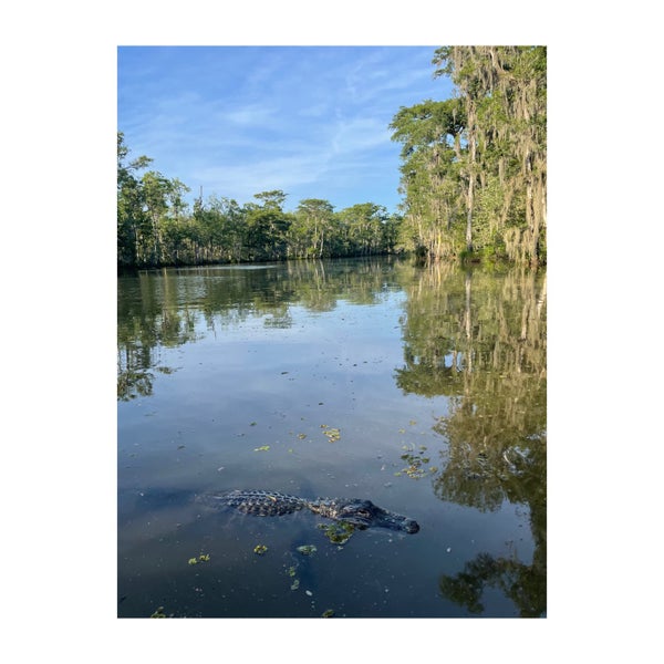Photos at Cajun Encounters Honey Island Swamp Tour Slidell, LA