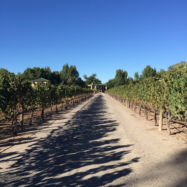 Photo taken at Casa Rondeña Winery by Allison L. on 10/11/2015