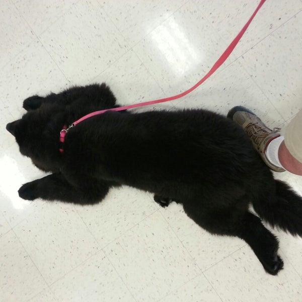 Photos at PetSmart Raleigh, NC