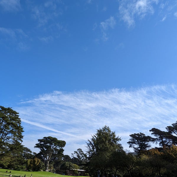 Das Foto wurde bei San Francisco Botanical Garden von Brienne Lee B. am 11/6/2022 aufgenommen