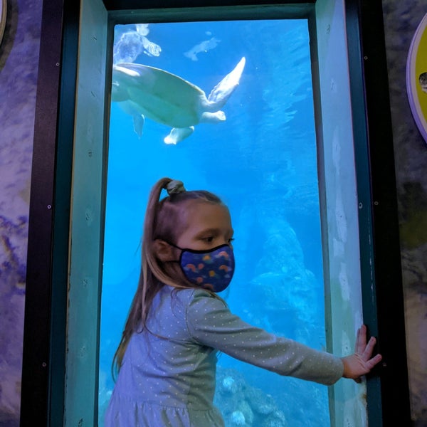 12/27/2021 tarihinde Brienne Lee B.ziyaretçi tarafından Clearwater Marine Aquarium'de çekilen fotoğraf